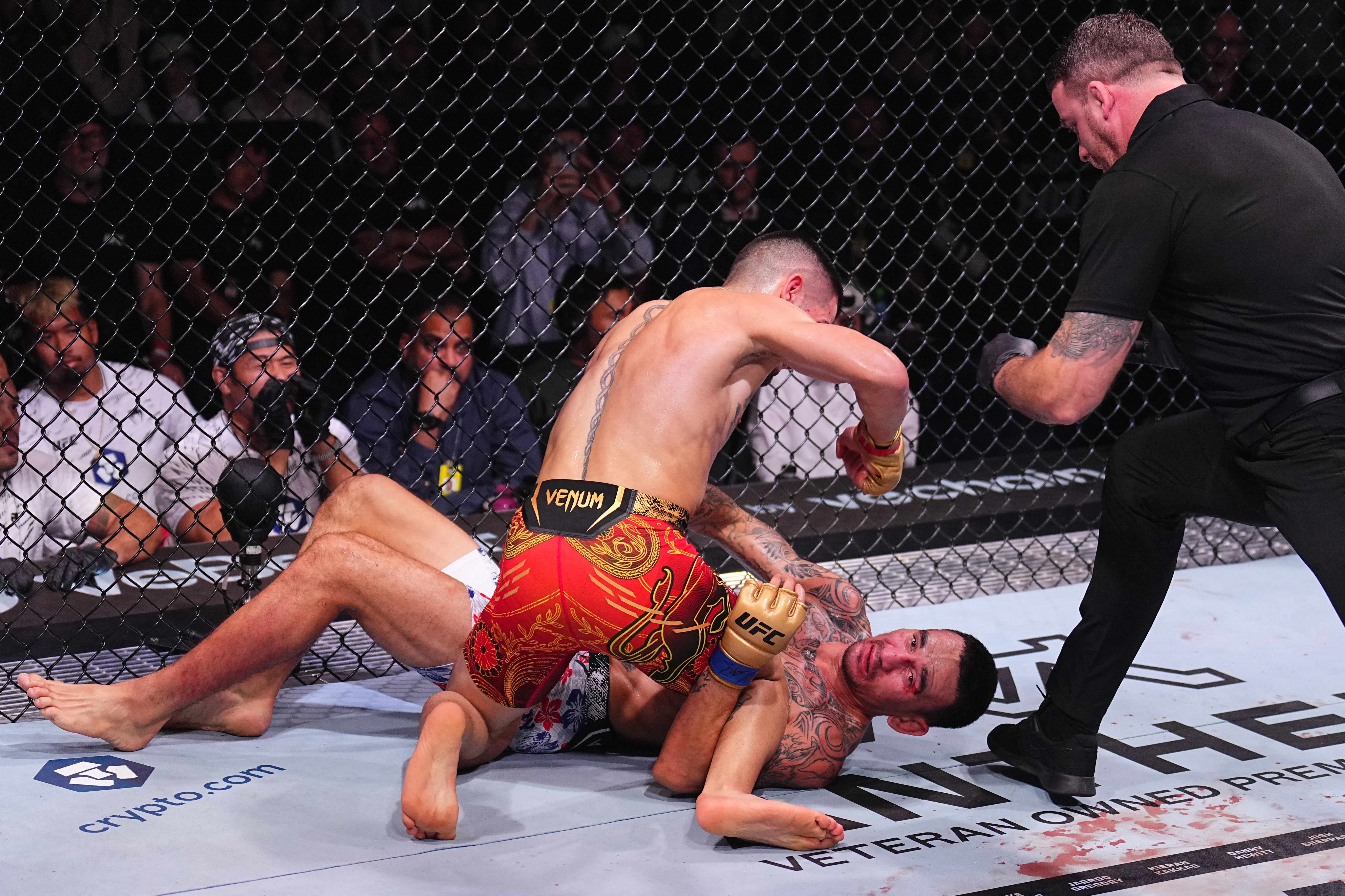 Combate de MMA en el octágono - peleas.es